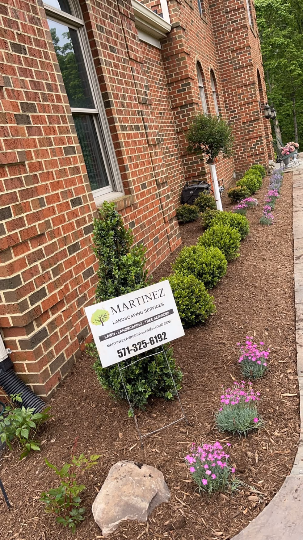 Trimmed boxwood shrubs and flowering perennials in a fresh mulch bed along the side of a brick home