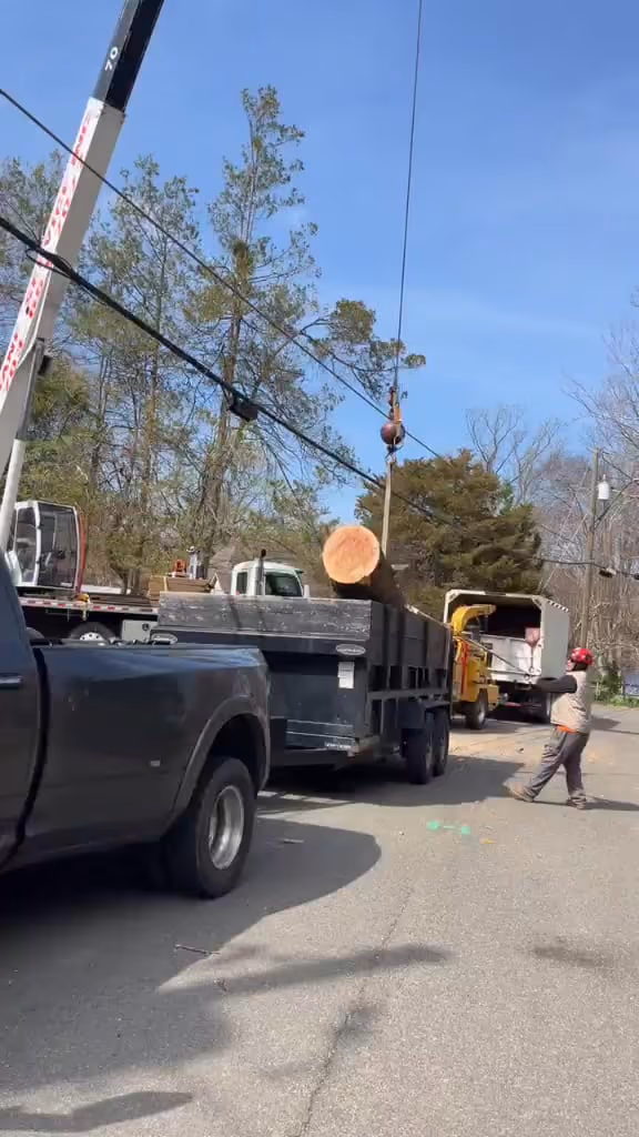 Crane lifting a large cut trunk section over a residential street during a tree removal