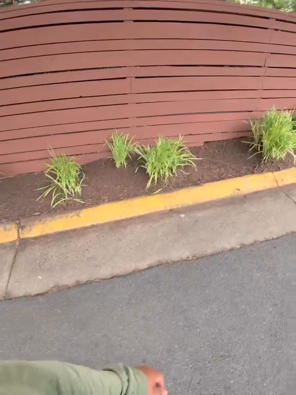 Street-side bed cleared of overgrowth, freshly mulched and replanted along a red fence