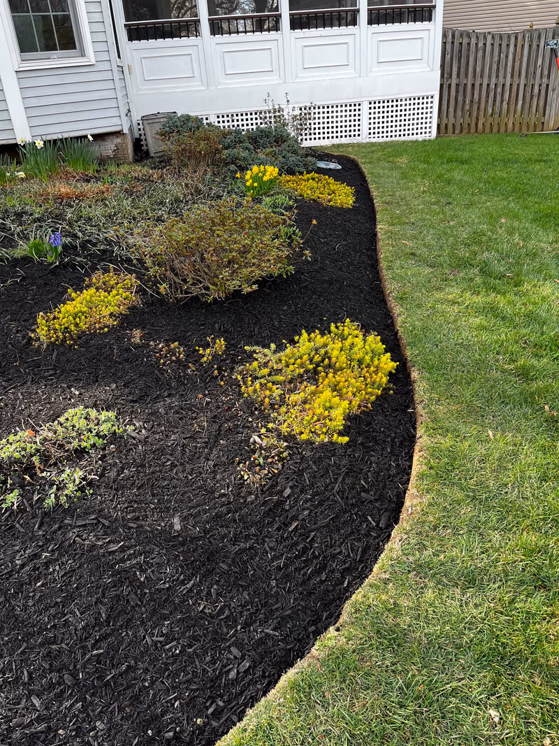 Curved mulch bed with golden and green shrubs wrapping the corner of a home