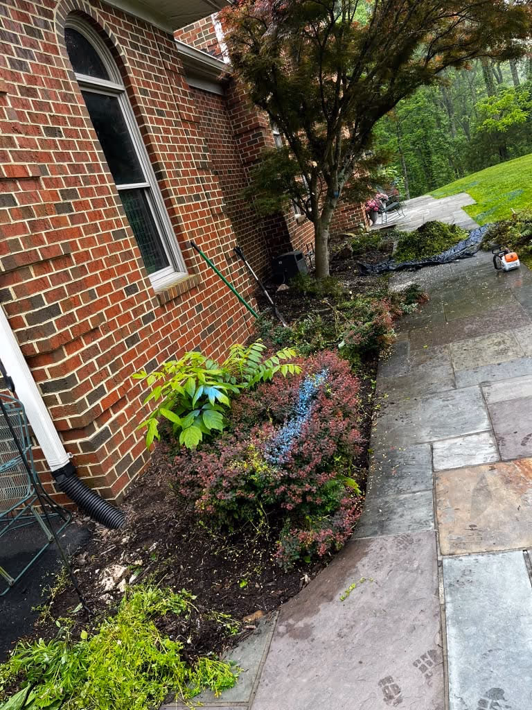 Newly planted front bed with shrubs and perennials beside a flagstone walkway