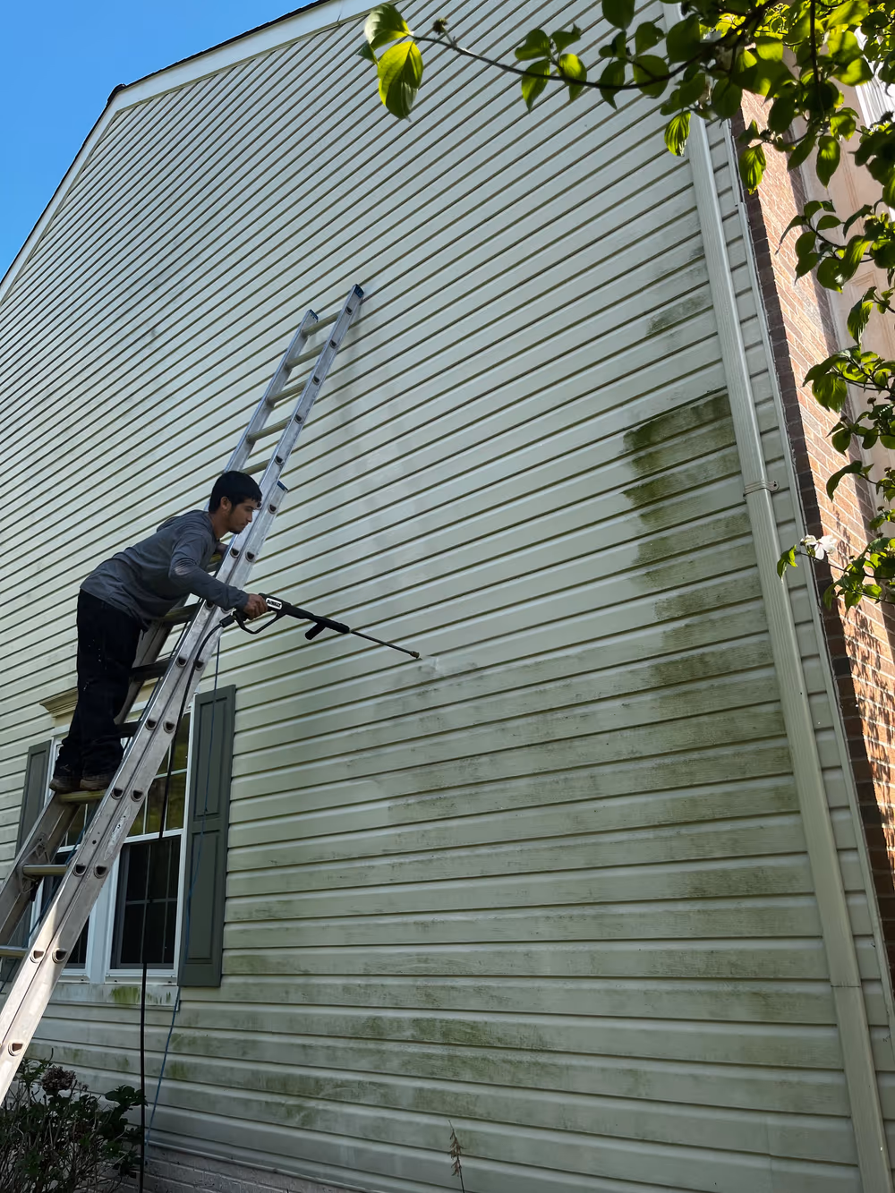 Green algae being washed from house siding, with the cleaned section clearly visible