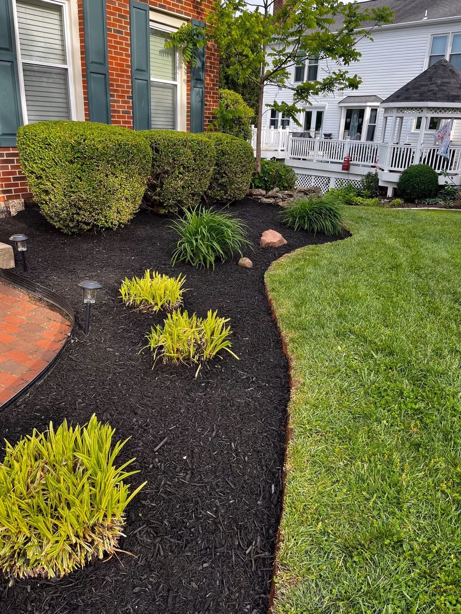 Fresh black mulch bed with golden shrubs and a brick border along a white home